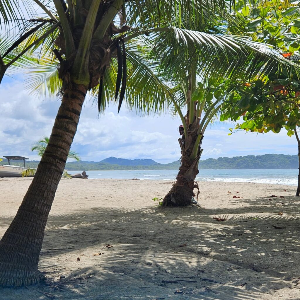 Samara Costa Rica Living at the beachfront